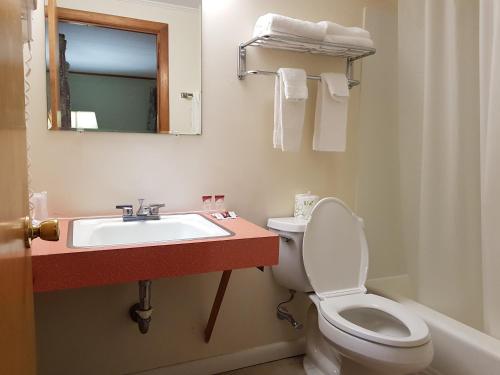 林肯法兰哥尼亚诺奇汽车旅馆的一间带水槽、卫生间和镜子的浴室