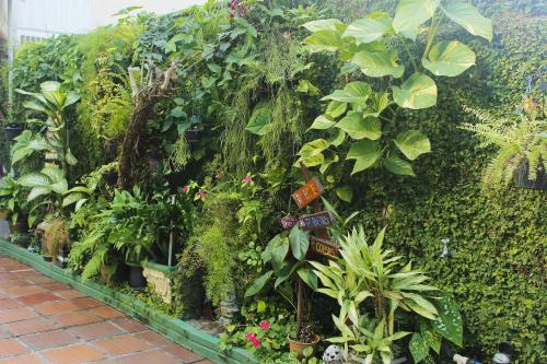 巴拉奈里奥-坎布里乌Hotel Paraná BC的充满植物和花卉的温室
