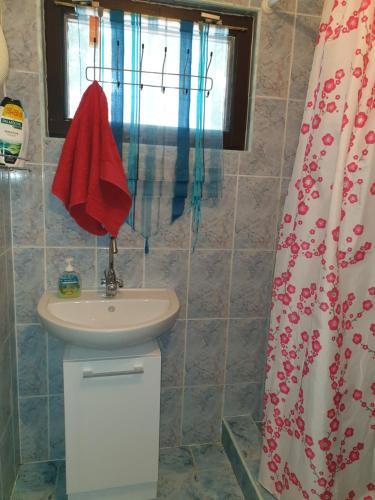 RábaszentmihályRába Part Apartman的一间带水槽和淋浴帘的浴室