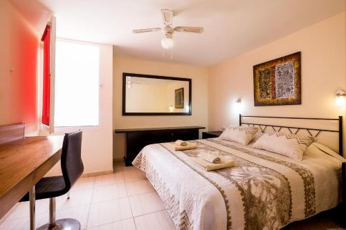 美洲海滩埃尔科尔蒂霍公寓的一间卧室配有一张带书桌和镜子的床