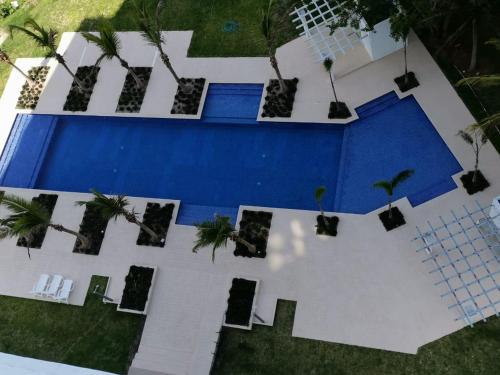 里奥阿托Ocean 3, Playa Blanca的享有棕榈树游泳池的顶部景致