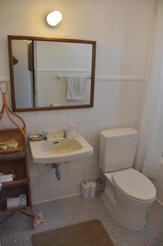 Old American House K-113的一间浴室