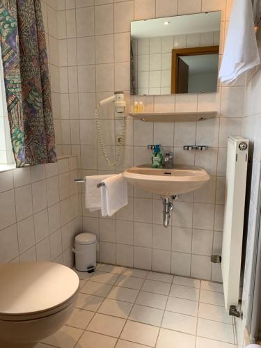 Gasthof zum Bären的一间浴室
