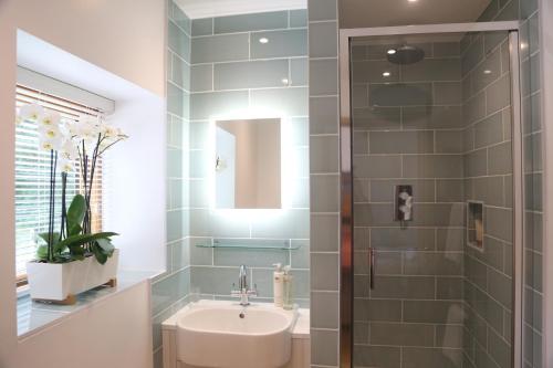 白金汉Hedges House的一间带水槽和淋浴的浴室