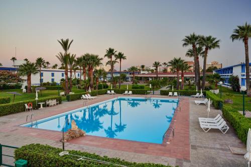 贝尼卡洛贝尼卡洛旅馆的棕榈树和建筑度假村的游泳池