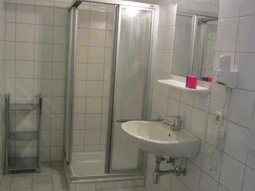 弗拉绍哈茨乐奔公寓的一间带水槽和淋浴的浴室