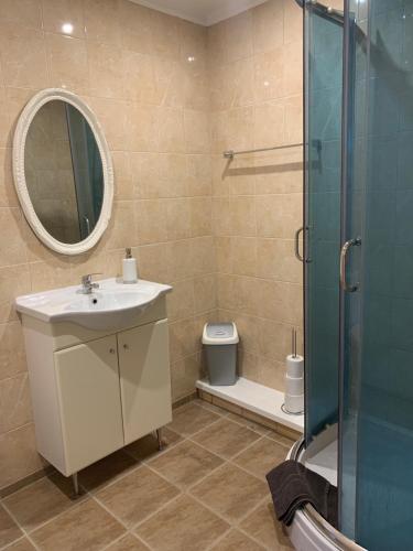塔林罗卡公寓 的一间带水槽、淋浴和卫生间的浴室