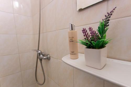多瑙新城PD Hostel的浴室设有1个带1瓶肥皂和鲜花的架子