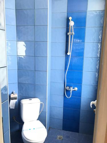 普罗夫迪夫МОТЕЛ СИТИ的蓝色瓷砖浴室设有卫生间和淋浴。