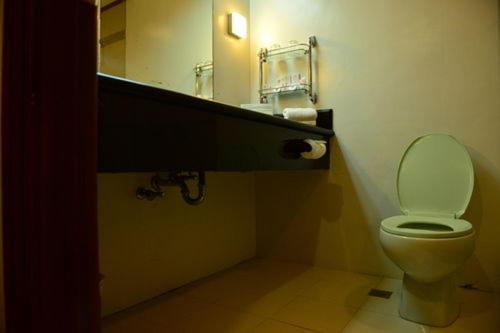 达沃市阿波火山景酒店的一间带卫生间、水槽和镜子的浴室