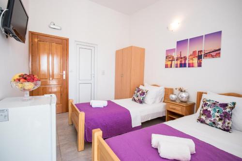 巴尔Villa Kovacevic的一间酒店客房,设有两张床和电视