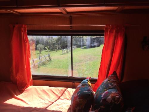 SesquiléLA MESETA DE TOMINE CAMPER的一间卧室设有窗户,配有红色窗帘和一张床