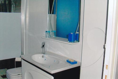 内拉克chambre d'hotes a nérac的一间带水槽和卫生间的浴室
