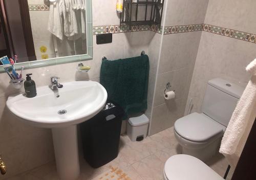 米尼奥Mi Casa的一间带水槽、卫生间和镜子的浴室