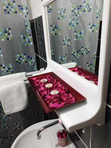 索科矿泉村Vila Stefanovic的浴室在水槽的托盘里装有粉红色玫瑰
