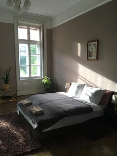 布达佩斯Basilica Apartment的一间卧室设有一张大床和窗户
