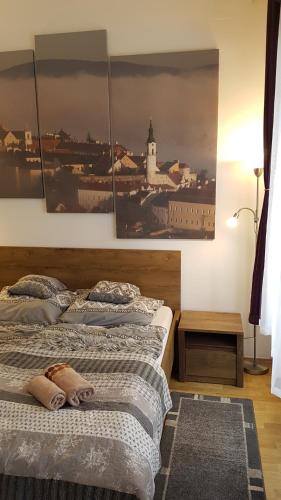 维斯普雷姆Sarolt Apartman的卧室内的两张床,墙上挂有照片