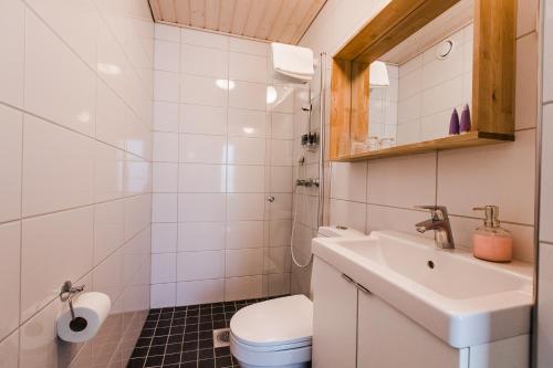 易拉斯加威奥罗拉酒店的一间带水槽和卫生间的小浴室