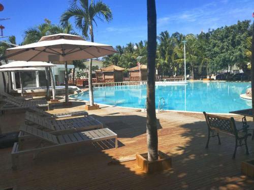 麦克坦皇家一号度假村 Tourist Garden Hotel的一个带椅子和遮阳伞的大型游泳池