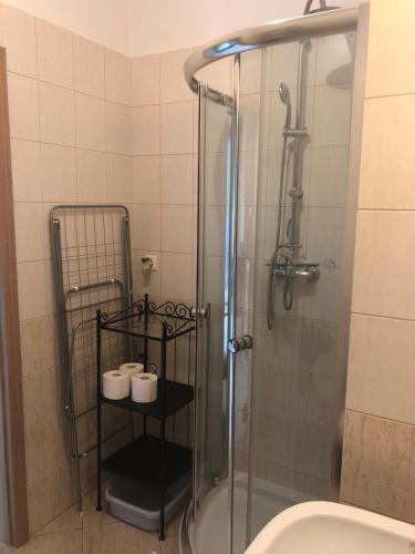 斯蒂格纳Apartamenty w Stegnie的浴室设有玻璃淋浴间和卫生间