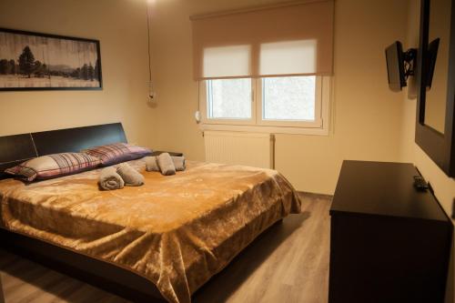 兹拉马S.K.Suite的一间卧室设有一张床和一个窗口