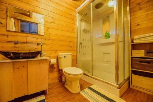 鹿谷乡溪头红瓣天民宿的木制浴室设有卫生间和淋浴。