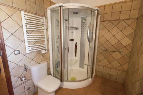 罗德里戈城Casa Rural Rio Agueda的带淋浴和卫生间的浴室