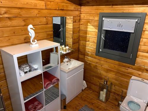 奈顿Long Wood Lodges的一间带水槽和卫生间的浴室以及窗户。