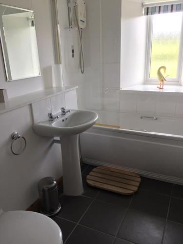 因弗戈登Heathfield Highland Estate的浴室设有水槽和窗户上的带鸭子的浴缸。