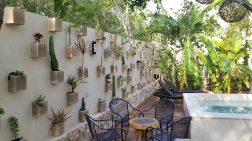 图卢姆Trece Lunas Tulum - Adults Only Enchanted Resort的墙上有一堆盆栽植物