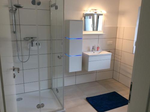 拉恩河畔林堡Ferienwohnung Lahntal Limburg的带淋浴和盥洗盆的浴室