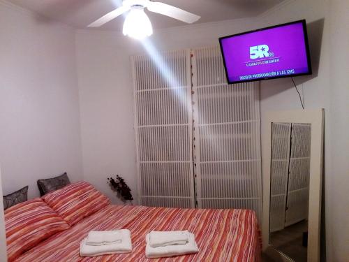 罗萨里奥Oroño 1的一间卧室配有一张床和一台平面电视