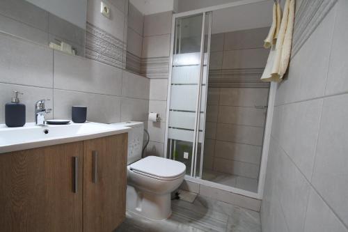 Néa PalátiaKaterina's的浴室配有卫生间、盥洗盆和淋浴。