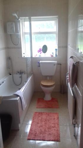 阿达拉Ashling B&B Ardara on Wild Atlantic Way F94T6N7的一间带卫生间和浴缸的浴室以及窗户。