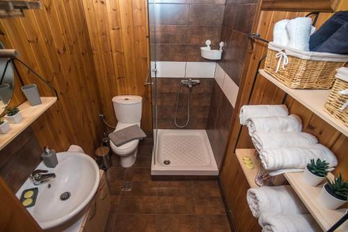 AmigdhaleónLotos的带淋浴、卫生间和盥洗盆的浴室