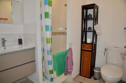 圣特罗让莱班Chambre indépendante dans une villa的一间带卫生间和淋浴帘的浴室