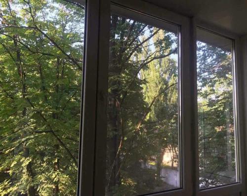 第聂伯罗Комфортні апартаменти з великим ліжком на Кірова ,поруч 16 лікарня,Дафі的两扇窗户,享有树林美景