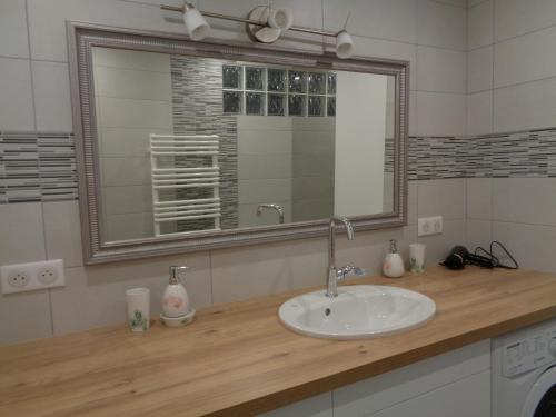 圣艾蒂安Appartement indépendant LE PANASSA, Centre ville, Garage privé的一间带水槽和镜子的浴室