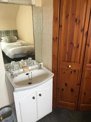 丁沃尔Garfield Guesthouse的一间带水槽和镜子的浴室以及一张床