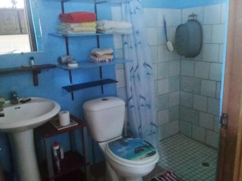 乌图罗阿Fare Vahine Oviri - 1048DTO-MT的一间带卫生间和水槽的浴室