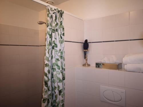 埃伯鲁普Gl. Avernæs Sinatur Hotel & Konference的带淋浴和浴帘的浴室