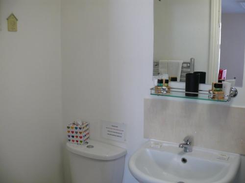 布莱顿霍夫弓街跑步者酒店的白色的浴室设有卫生间和水槽。