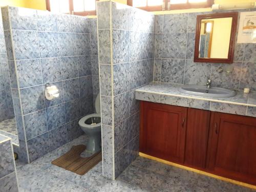 Rodrigues IslandLe Tropical Chez Jeannette的一间带水槽和卫生间的浴室