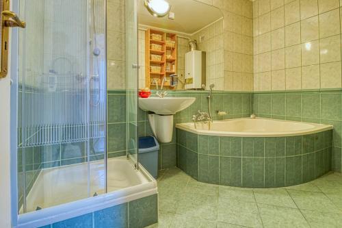 埃格尔Völgyfürdő Apartman的带浴缸、水槽和淋浴的浴室