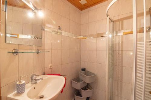 莫斯堡Urlaubsbauernhof Wabnig的白色的浴室设有水槽和淋浴。