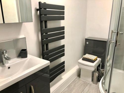 金斯林BrickSage Rooms, King's Lynn The Walks的浴室配有卫生间、盥洗盆和淋浴。