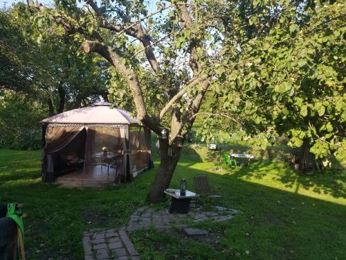 切霍齐内克u Franciszka w sadzie的院子里的帐篷,配有桌子和树
