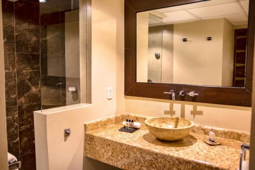 圣克鲁斯华特库拉斯布里萨斯哈杜克酒店的一间带水槽和镜子的浴室