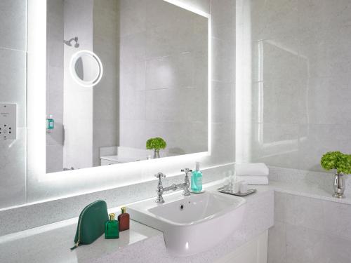 亚达尔菲茨杰拉德伍德兰德酒店的白色的浴室设有水槽和镜子