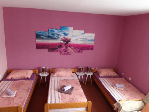 奥古林Studio apartman CENTAR的一间设有两张床的客房,墙上挂着一幅画